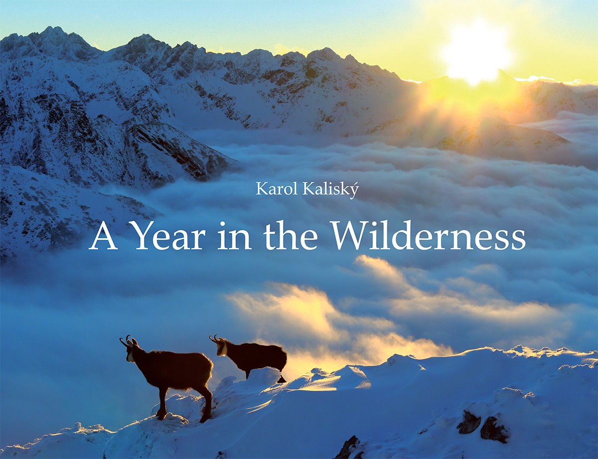 A Year in the Wilderness