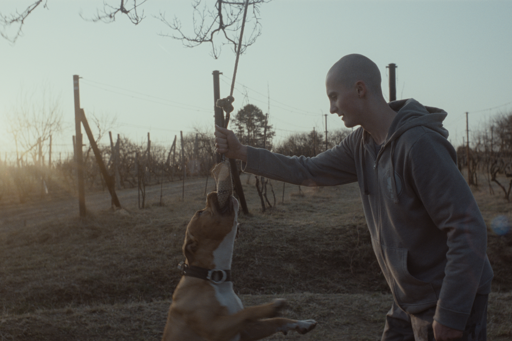 Slovenské filmy zabojujú na goEast Wiesbaden