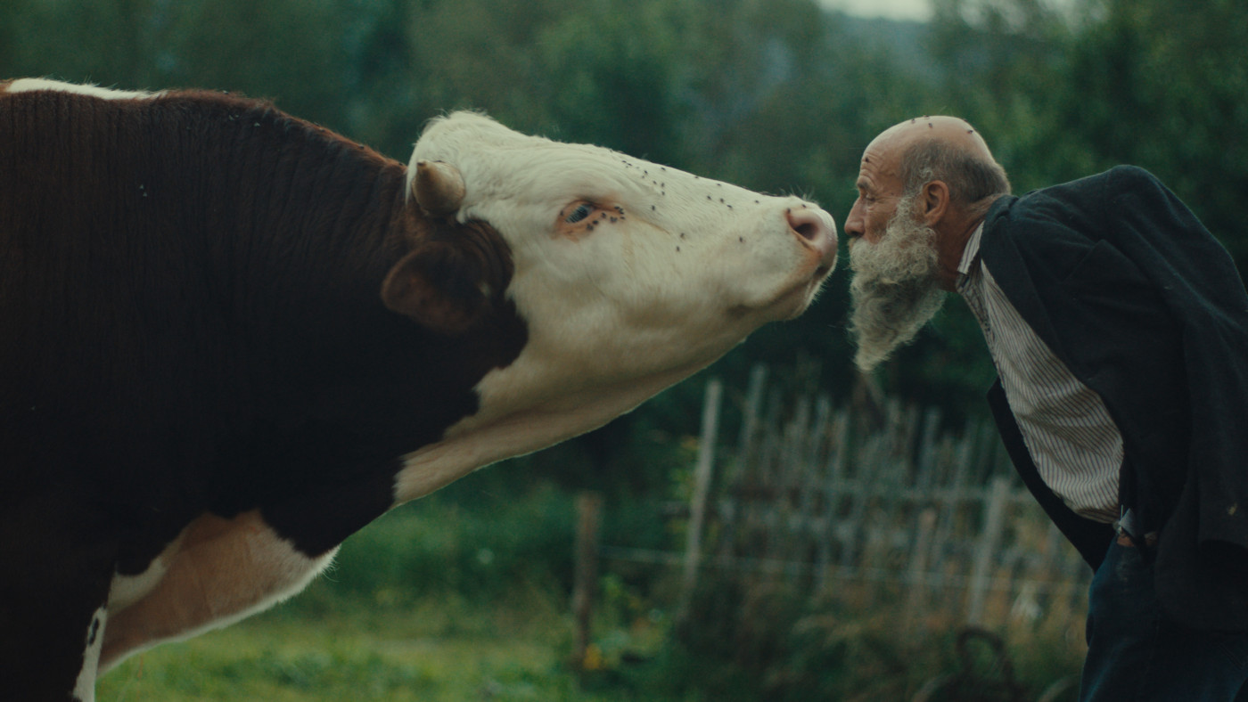 Záber z filmu Raději zešílet v divočině režiséra Mirom Remom